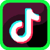 TikTok Logo
